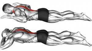 10 Упражнений для Улучшения ОСАНКИ