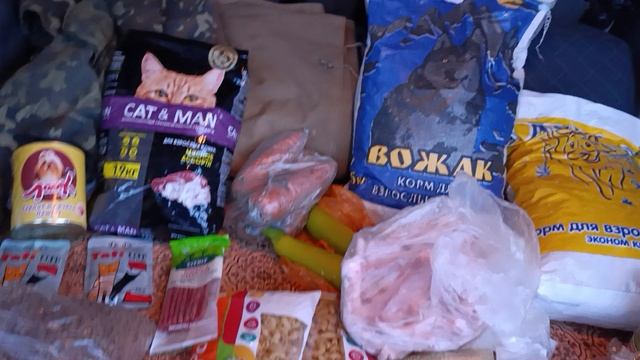 Мы приехалиЕда для хвостиков смотреть онлайн