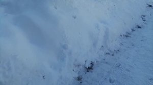 Сдача черного и цветного металла. Актуальные цены 6.01.26😉