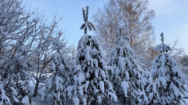 Французская колядка в обработке монахини Иулиании (Денисовой) смотреть онлайн