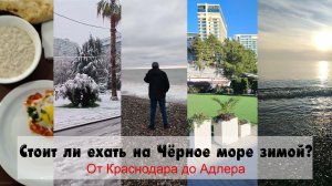 Стоит ли ехать на Чёрное море зимой? Краснодар, Джубга, Лазаревское, Сочи 2025 – 2026 год.