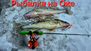 Нашли судака! Только опустил VIB и сразу удар, рыбалка на Оке 2026.