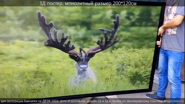 3Д постер лентикулярный (стерео-варио) 2х1,2метра_печать MagicVision.Ru