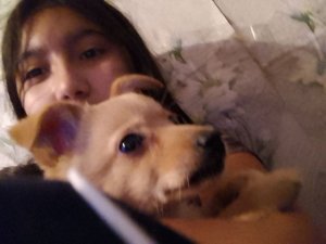 играю с 🐕 часть2