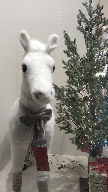 Лошадка обещала ...🙏🙏🙏