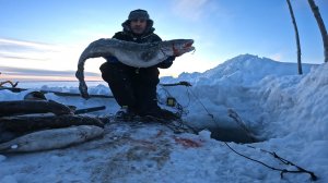 ОТЛИЧНЫЙ УЛОВ | ПЕРЕМЕТ 04.01.2026