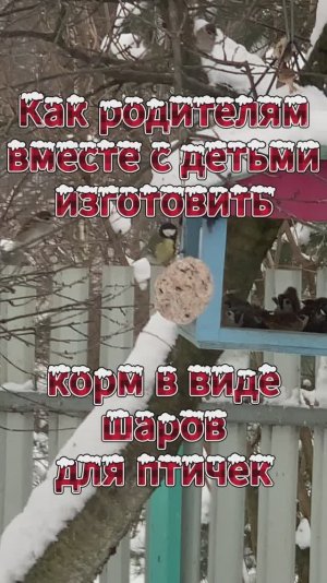 Зимний корм для птичек: шары из сала