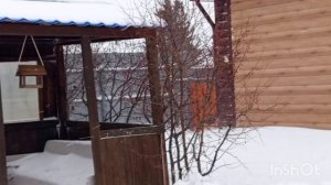 у нас пурга.жарим шашлык