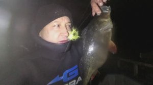 Гигантский Окунь, рыбалка на р.Волга осень