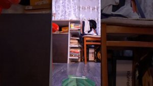 гусьсеница