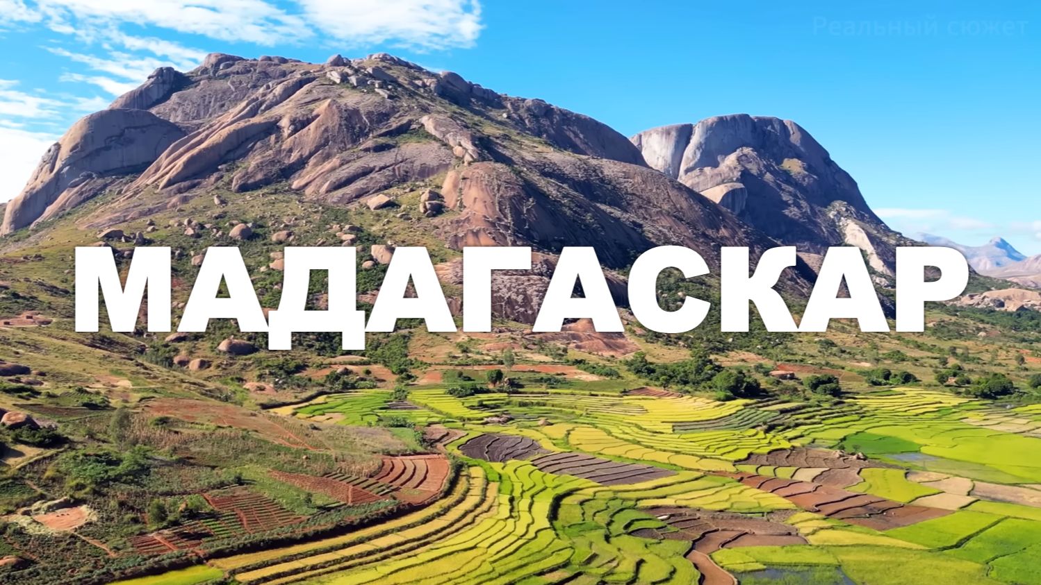 Мадагаскар 4K | Документальный фильм о животных смотреть онлайн