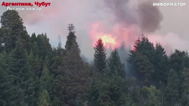 Новости Сегодня 06.01.2026 - ЧП, Катаклизмы, Россия, Москва Ураган, Цунами США, Европа Погода смотреть онлайн