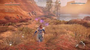 HorizonZeroDawn поле павших