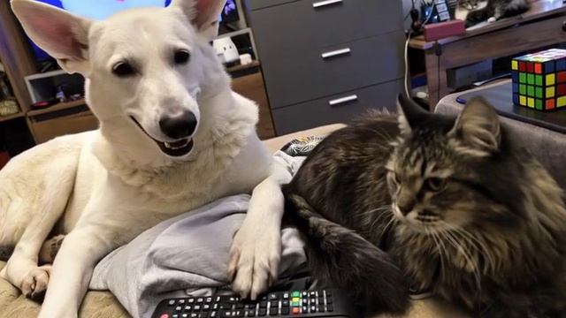 Грей и другие.mp4