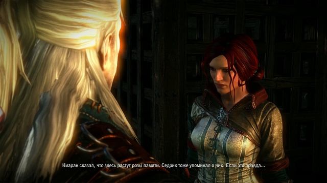 The Witcher 2 (Ведьмак 2) Прохождение #13 Роза Памяти
