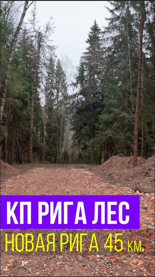 Кратко про КП Рига Лес на Новой Риге смотреть онлайн
