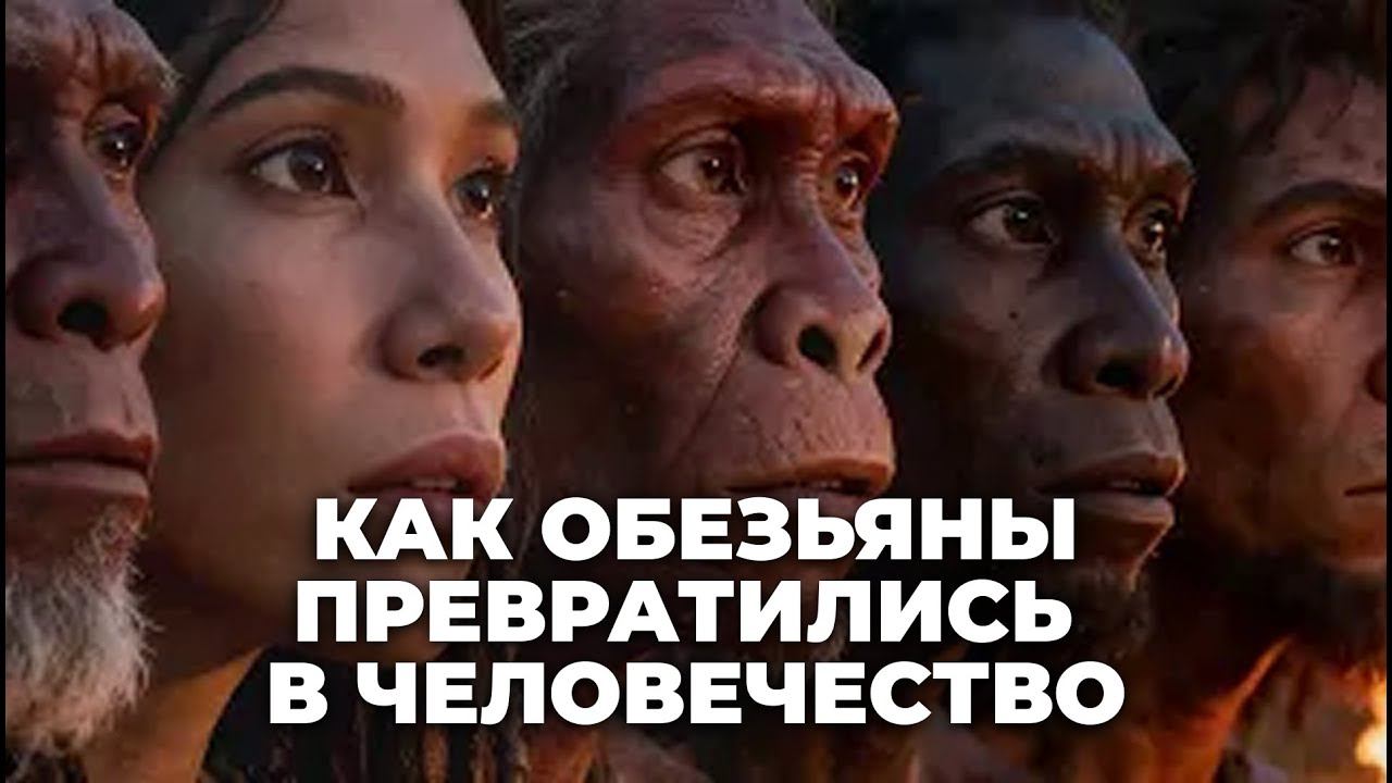 Как маленькие волосатые обезьянки превратились в современного человека? рассвет человечества