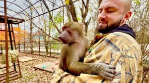 Маня потребовала чтобы ей принесли Степу в красивый вольер! Степа от Дениса просто не отходит!!!