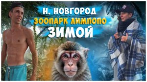 ЗООПАРК ЛИМПОПО НИЖНИЙ НОВГОРОД / ПЕРВЫЙ ЧАСТНЫЙ ЗООПАРК РОССИИ