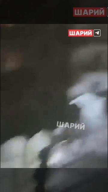 Каракас сегодня. Венесуэлла