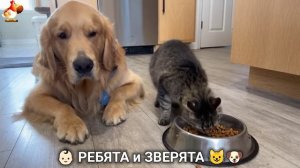 Ребята и зверята от ИИ милое видео для души и радости 👶🏻😺🐶 (23)