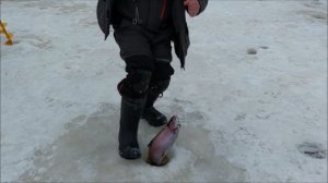 Поимки форели на блёсны и раттлины. Клёвое место, Лосиный остров, нижний водоём.