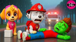 Щенячий патруль и Маршалл. Залипательное видео. Мультфильм для детей и малышей. Анимация 56