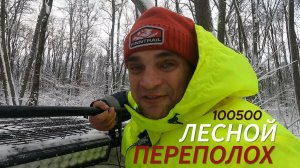 100500 ЛЕСНОЙ ПЕРЕПОЛОХ
