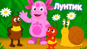 ЛУНТИК - Правила дорожного поведения - Развивающий мультик для детей