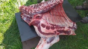 Продал всех быков.