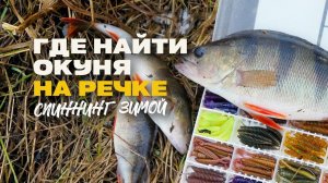 Где Искать Окуня Зимой на Малой Реке Спиннинг Микроджиг и Рабочие Приманки