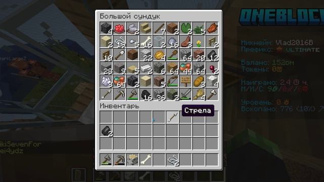 Майн с братом