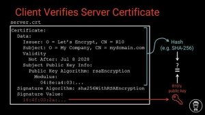 What is Transport Layer Security-TLS