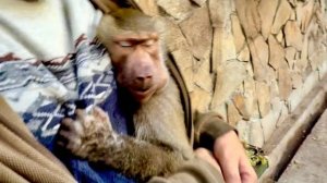 ПЕРВАЯ ВСТРЕЧА с Люсей состоялась!!!