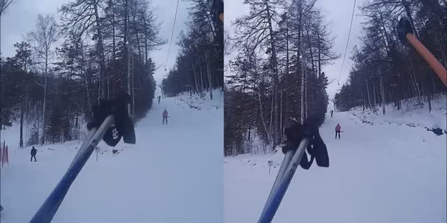 Коза дереза VR