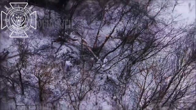 Штурм позиции Всу к западу от н.п. Грабовское Сумской области 💥🇷🇺👊 смотреть онлайн