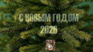 Ёлка с друзьями