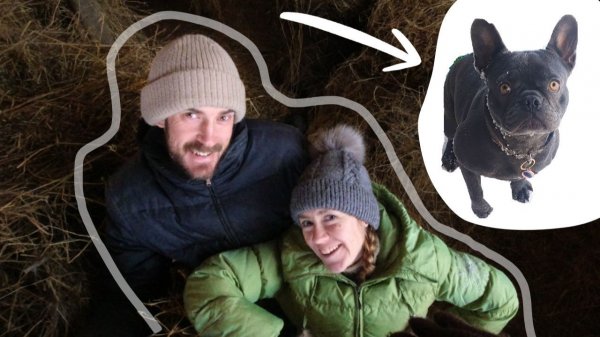 Фермеры в России | Новогодний праздник в фермерском стиле