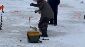 Поимка форели