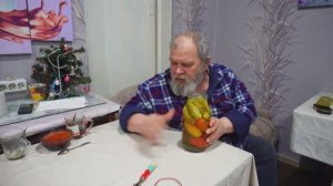 На своих двоих по холоду ради кошек Домашние соленья помидор и огурцов