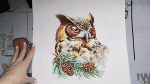 Все мои финиши 2016-2025гг. ЧАСТЬ 1