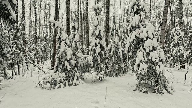 Подмосковная Снежная Сказка смотреть онлайн
