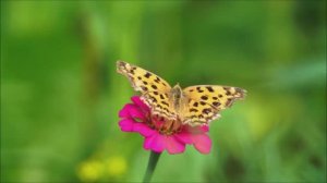 ЖИЗНЬ НА НОВОЙ ЗЕМЛЕ. ПУТЕШЕСТВИЕ СКВОЗЬ ПРОСТРАНСТВО И ВРЕМЯ.