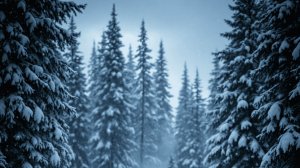 маленькой елочке