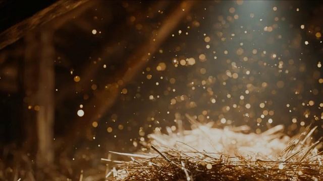 Рождественская ночь