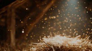 Рождественская ночь