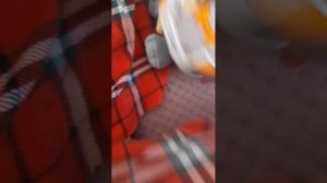 распаковка лили и басик новая коллекция