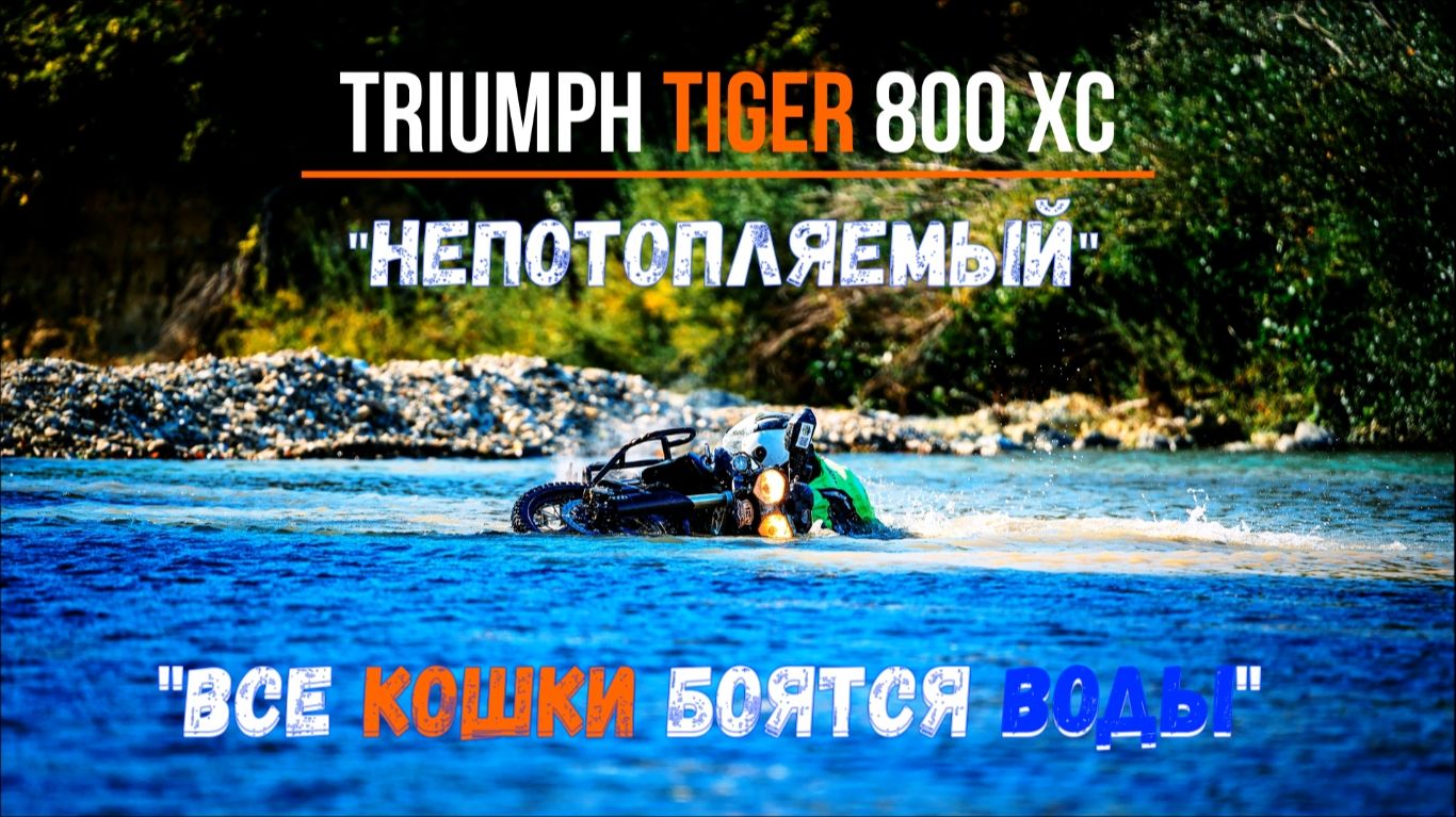 Triumph Tiger 800 XC «Непотопляемый» - все кошки боятся воды!