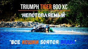 Triumph Tiger 800 XC «Непотопляемый» - все кошки боятся воды!