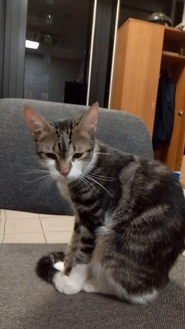 1000074967.mp4 смотреть онлайн